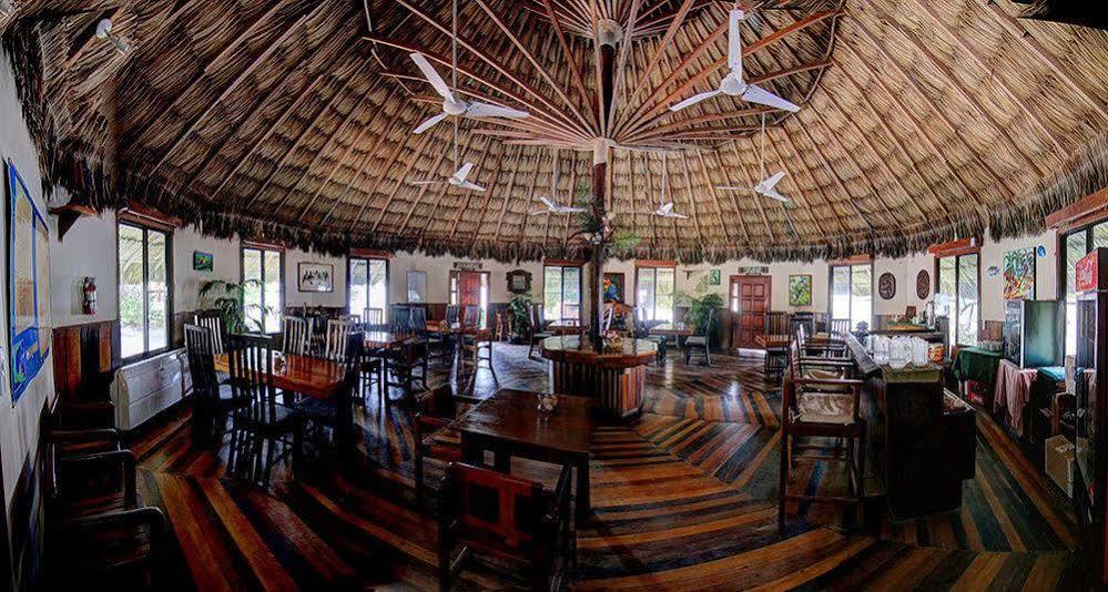Blackbird Caye Resort Turneffe Atoll エクステリア 写真