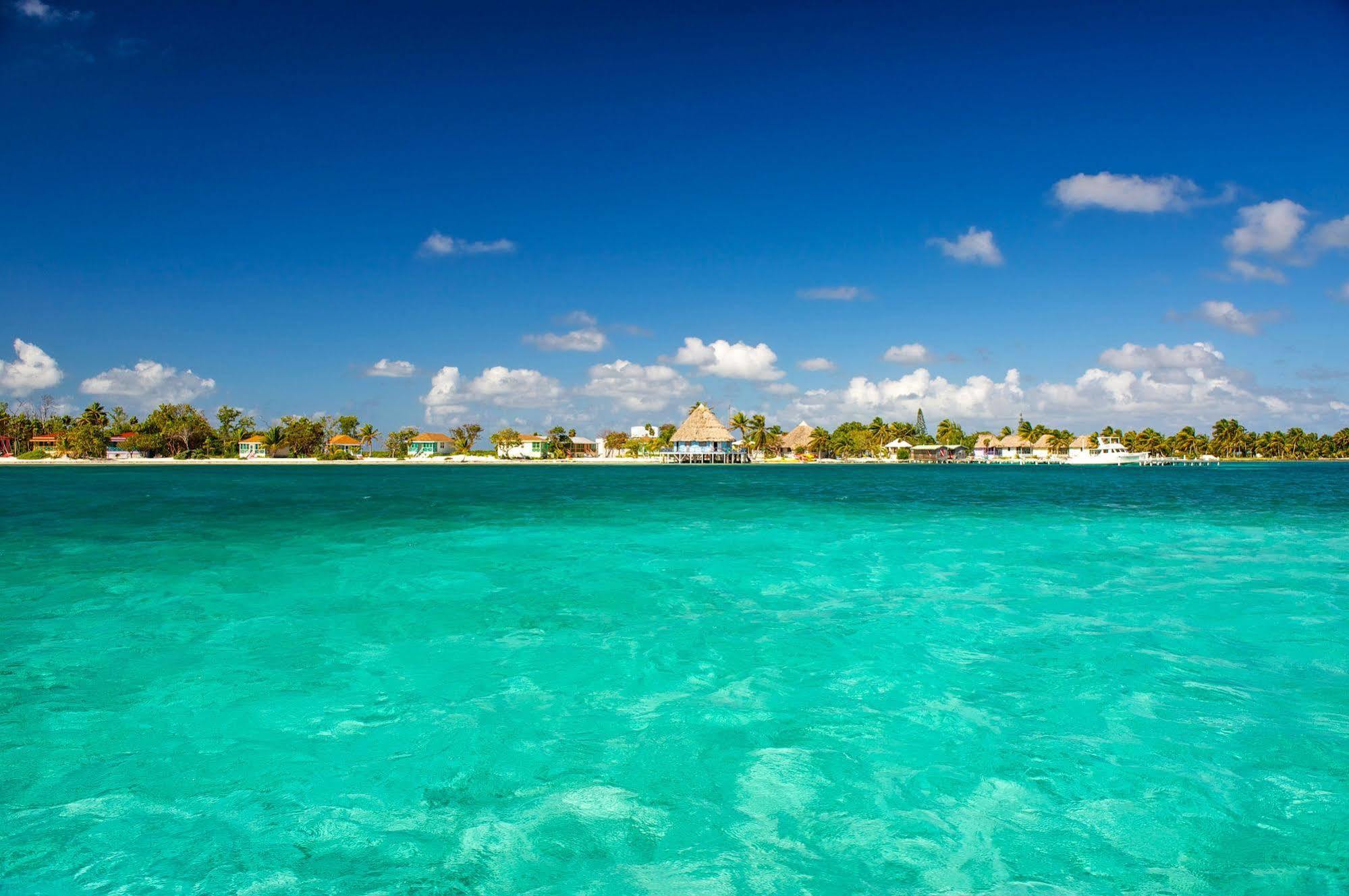 Blackbird Caye Resort Turneffe Atoll エクステリア 写真