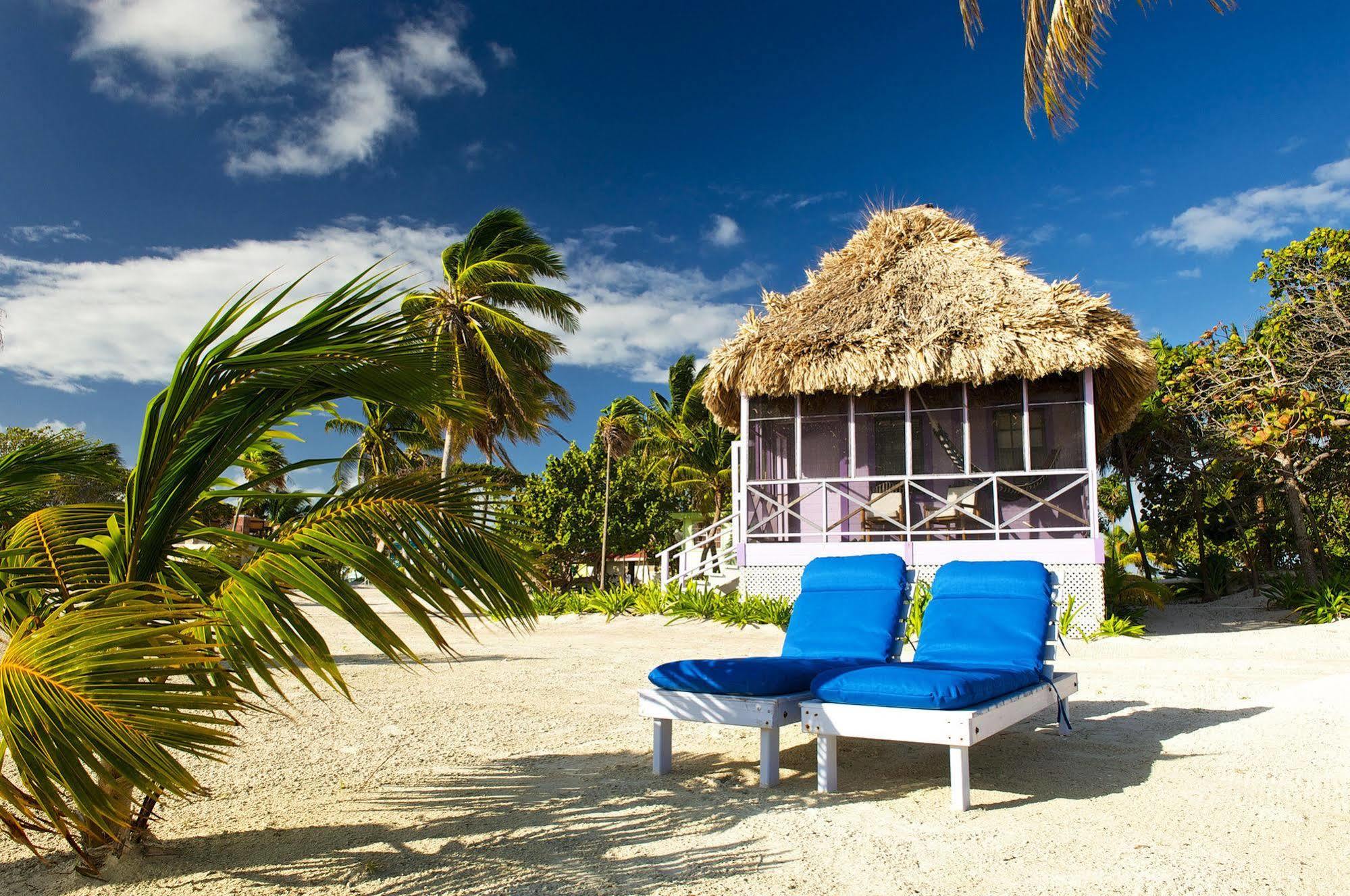 Blackbird Caye Resort Turneffe Atoll エクステリア 写真